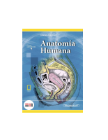 Anatomía Humana (T2)-Latarjet 2.pdf - Dirzon